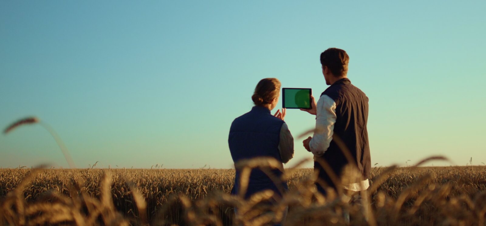 Two ag workers standing in a wheat field