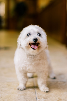 Winnie