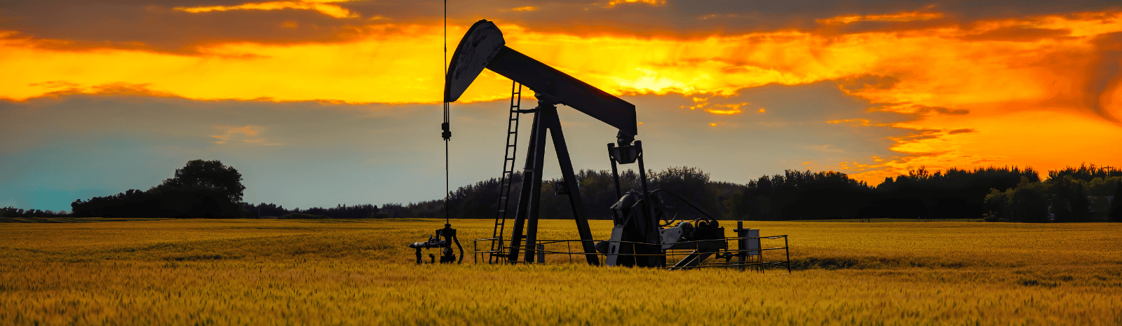 Oil pump jack in wheat field